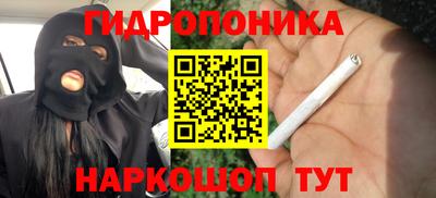 гидропоника Азнакаево