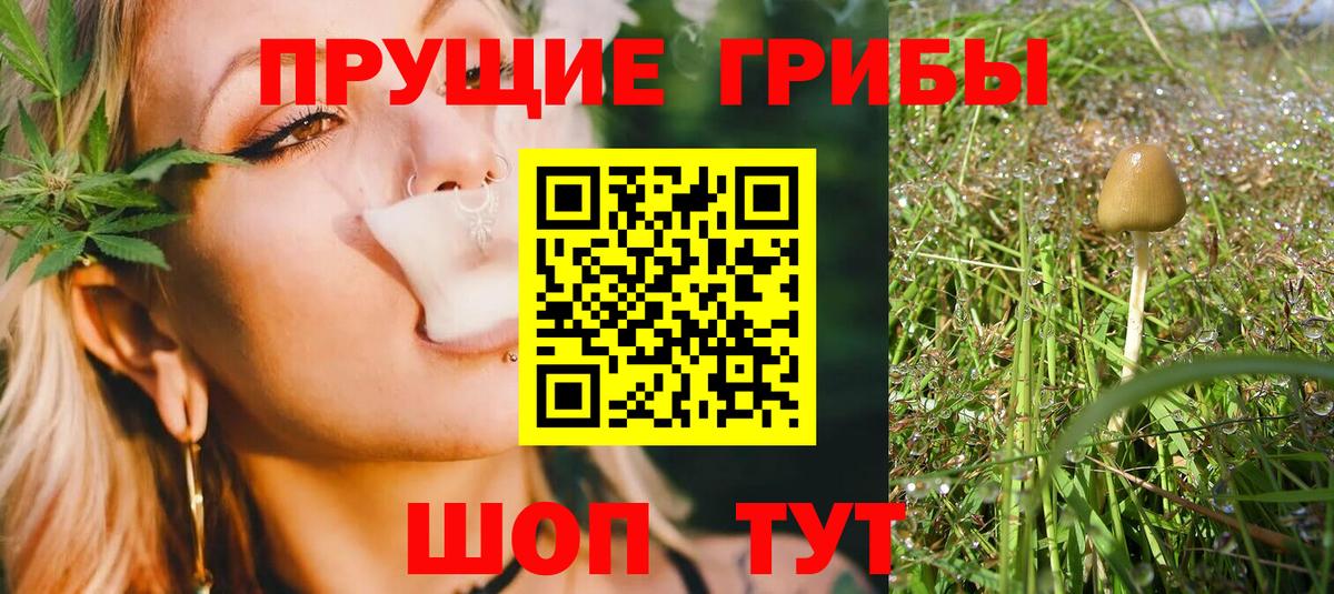 Псилоцибиновые грибы ЛСД  Вход с VPN  Алушта  Галлюциногенные грибы Cubensis 