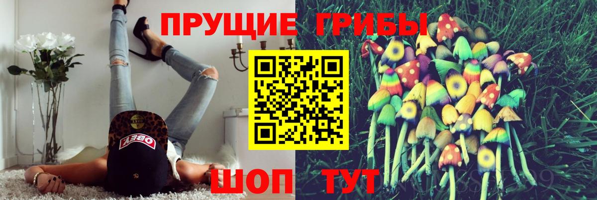 Галлюциногенные грибы мухоморы  Галлюциногенные грибы мухоморы  Алушта 