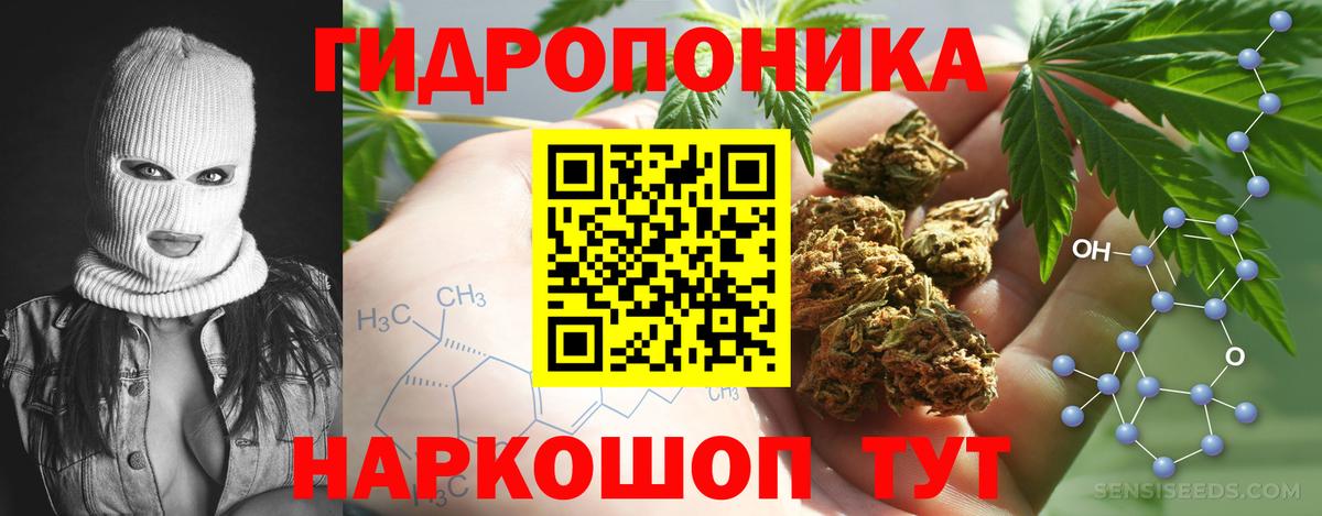 Алушта  Бошки Шишки планчик  Каннабис тримм  Вход с VPN 